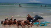 �T�[�t�E�T�[�t�E���{�����[�V���������I